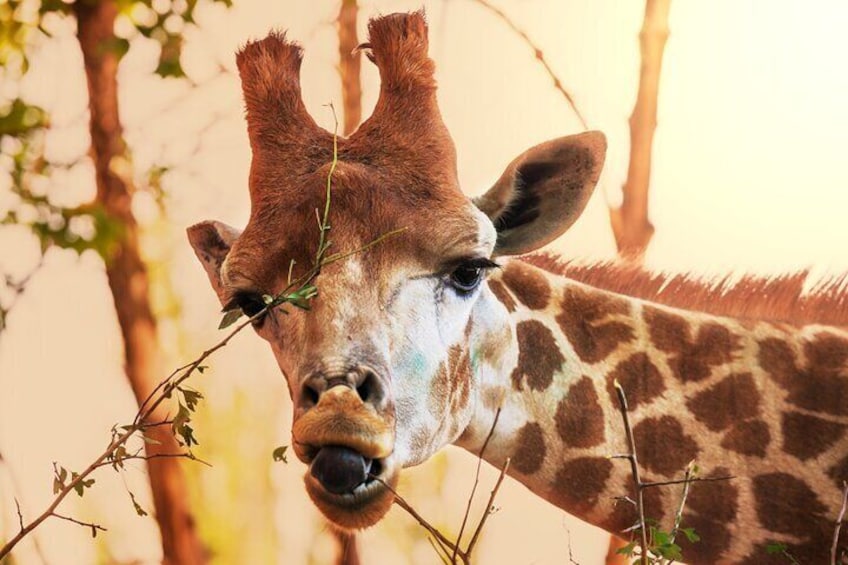 10 DAYS BEAUTY OF NAMIBIA | Private Guided Tour