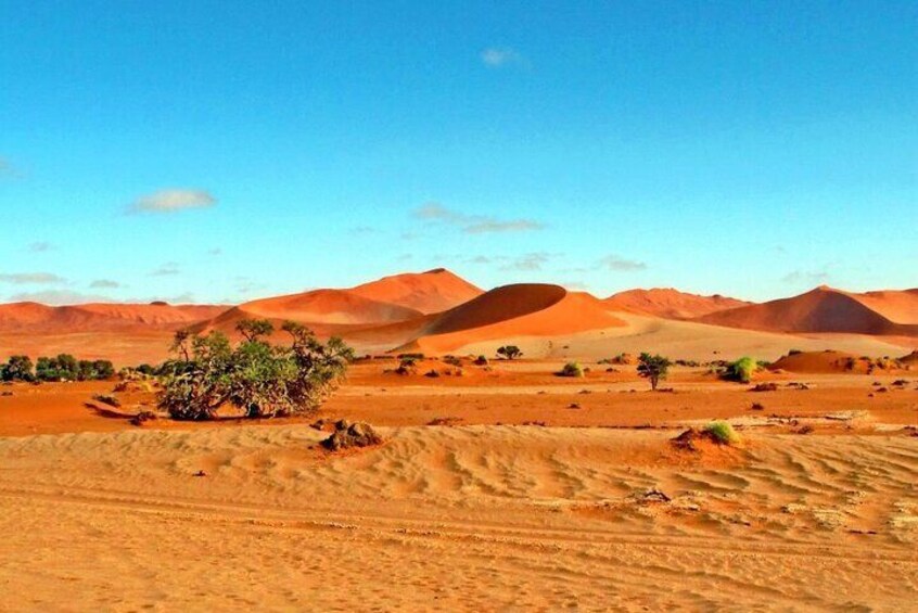 3 Days Amazing Red Dunes of Sossusvlei | Private Guided Tour