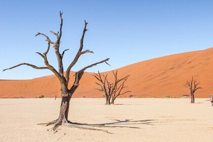 3 Days Amazing Red Dunes of Sossusvlei | Private Guided Tour