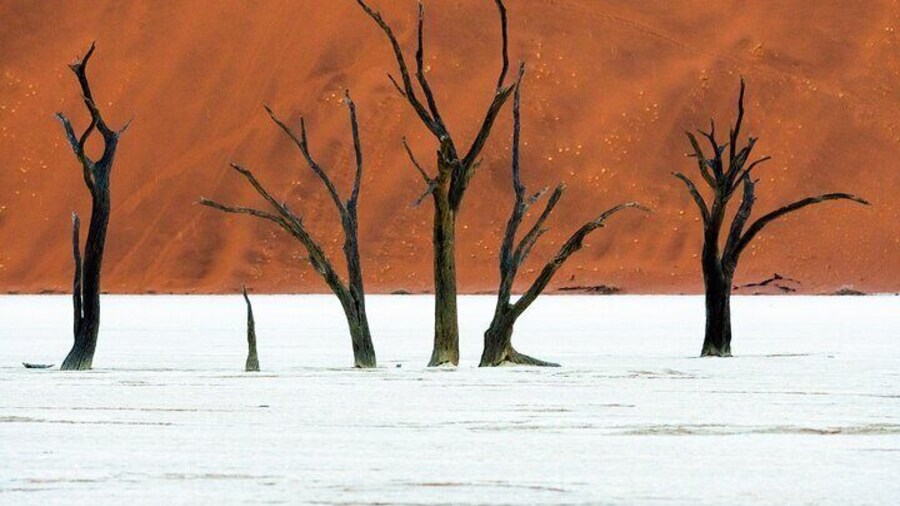 3 Days Amazing Red Dunes of Sossusvlei | Private Guided Tour