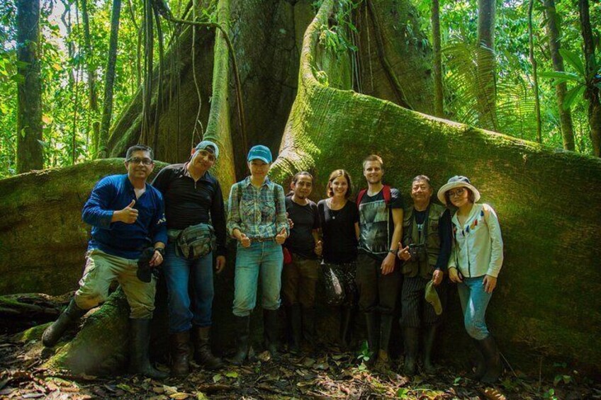 Yasuni National Park 3 days 2 nights in the Amazon of Ecuador,comfortable rooms 