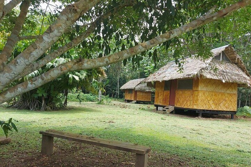 Yasuni National Park 3 days 2 nights in the Amazon of Ecuador,comfortable rooms 