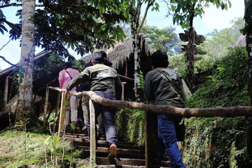 Yasuni National Park 3 days 2 nights in the Amazon of Ecuador,comfortable rooms