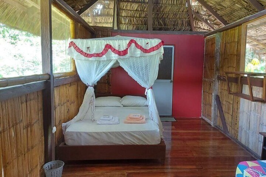 Yasuni National Park 3 days 2 nights in the Amazon of Ecuador,comfortable rooms 
