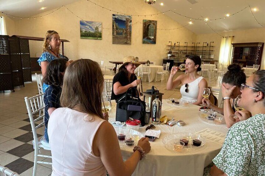 Washington DC - Virginia Winery Tour by Spirited Tours