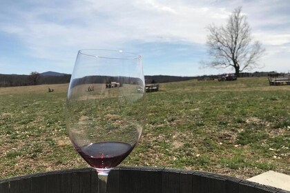 Washington DC - Virginia Wine Country Group Day Tour by Spirited Tours