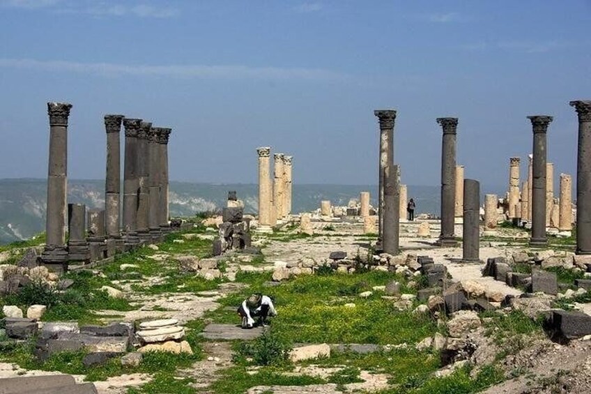 Umm Qais, Pella, Ajloun & Jerash Full Day Trip from Amman, Airport or Dead Sea