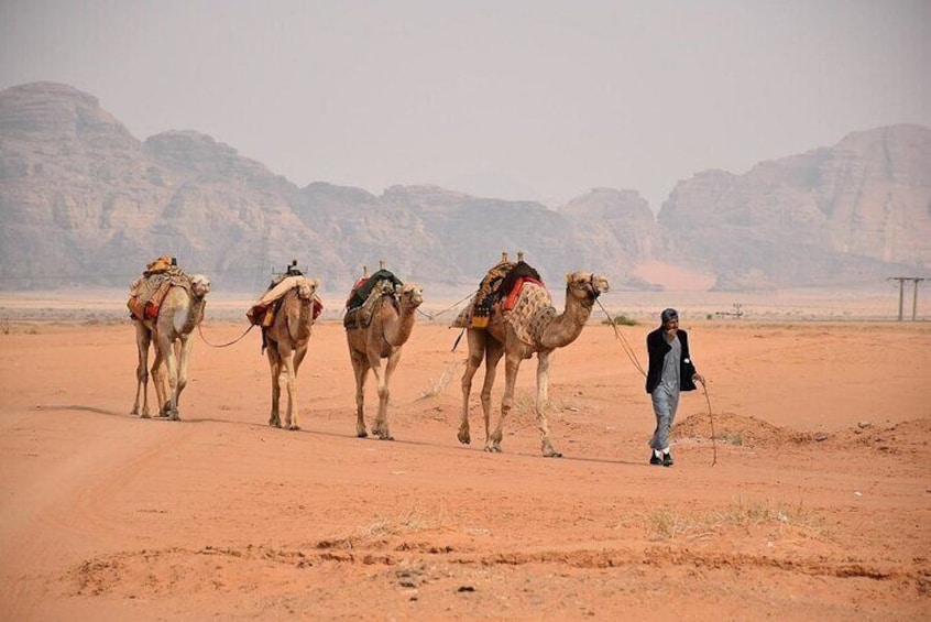 Petra and Wadi Rum Full-Day Private Tour from Amman or Airport
