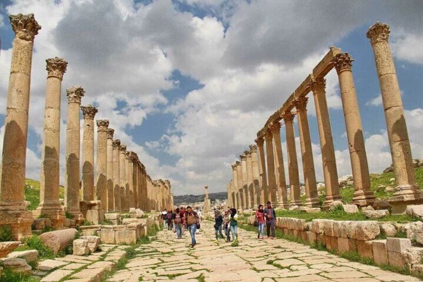 Jerash and Ajloun Castle Full Day Tour from Amman or Airport
