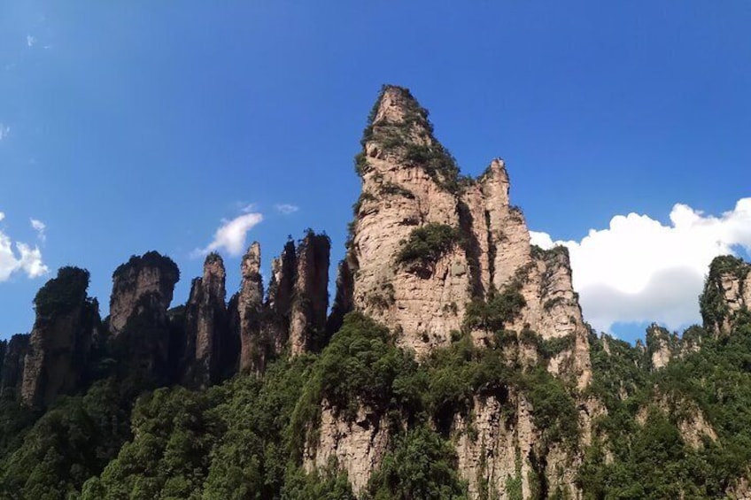 Zhangjiajie Park Avatar Mountain & Zhangjiajie Glass Bridge Day Tour