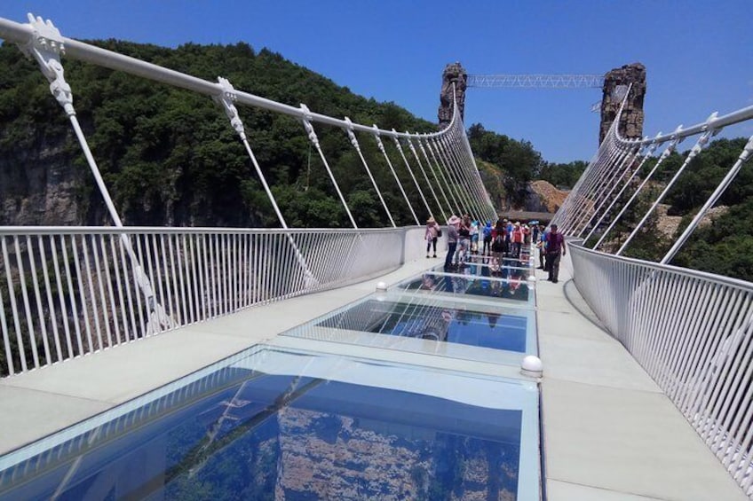 Zhangjiajie Park Avatar Mountain & Zhangjiajie Glass Bridge Day Tour
