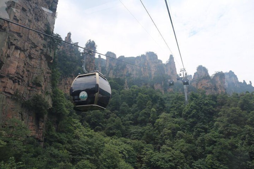 Zhangjiajie Park Avatar Mountain & Zhangjiajie Glass Bridge Day Tour