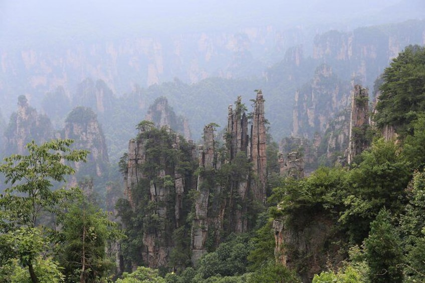 Zhangjiajie park Avatar Mountain & Glass Bridge day tour