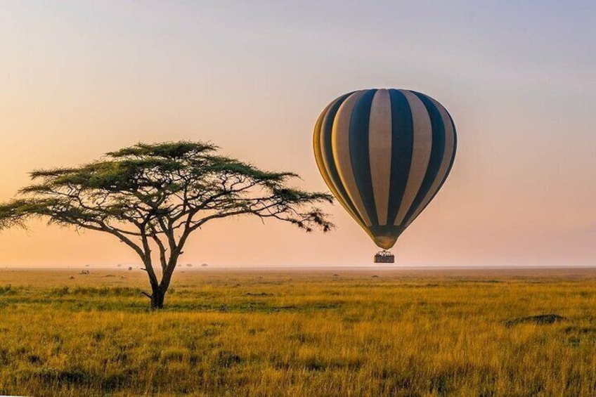 6 Days best adventure kilimanjaro ,Tarangire ,Serengeti &Ngorongoro crater