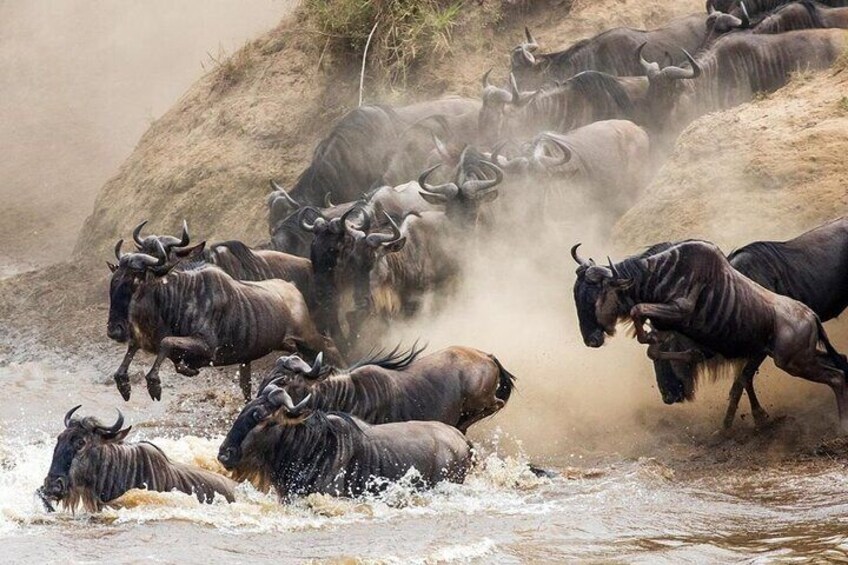 6 Days best adventure kilimanjaro ,Tarangire ,Serengeti &Ngorongoro crater 