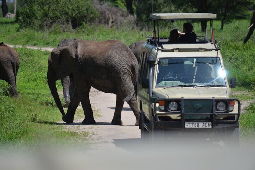 6 Days best adventure kilimanjaro ,Tarangire ,Serengeti &Ngorongoro crater