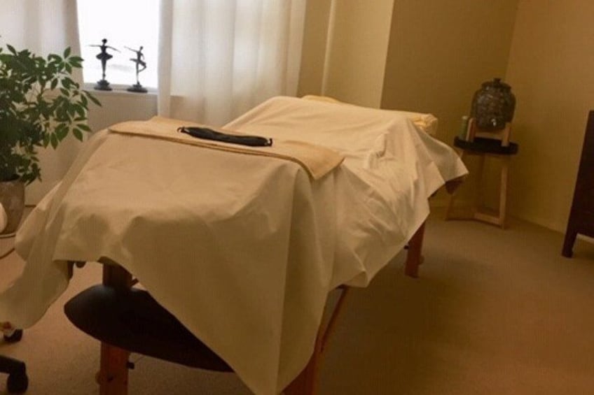 Treatment Room Massage Table Equipped With 
BioMats and BioPillow

