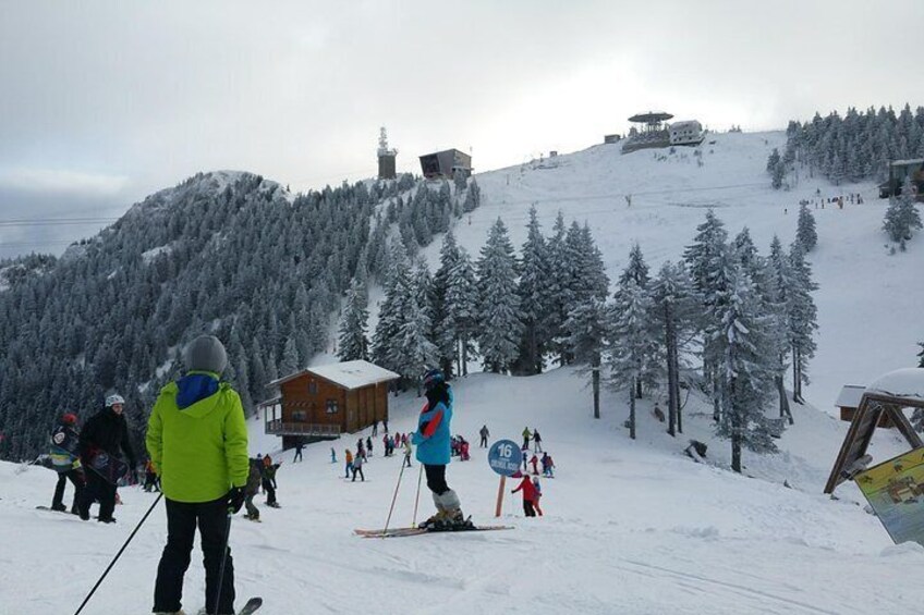 Poiana Brasov Ski/Snowboard Lessons