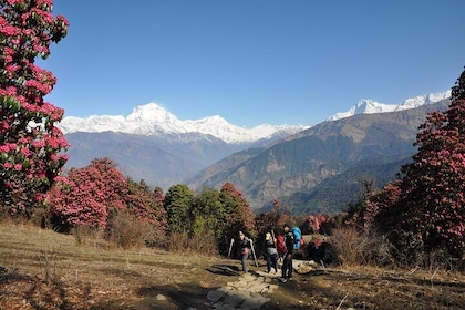 Nepal Round Tour with Annapurna Trek 14 Days