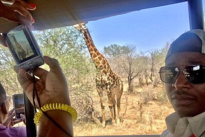 Kruger National Park, Panorama and Safaris in 4 Days