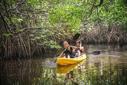 Sunrise Mangrove Kayaking - Madu River Ahungalla (+ Colombo Shuttle)