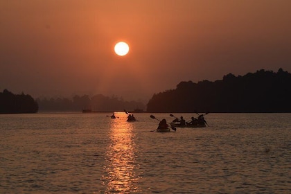 Sunrise Mangrove Kayaking - Madu River Ahungalla (+ Colombo Shuttle) 