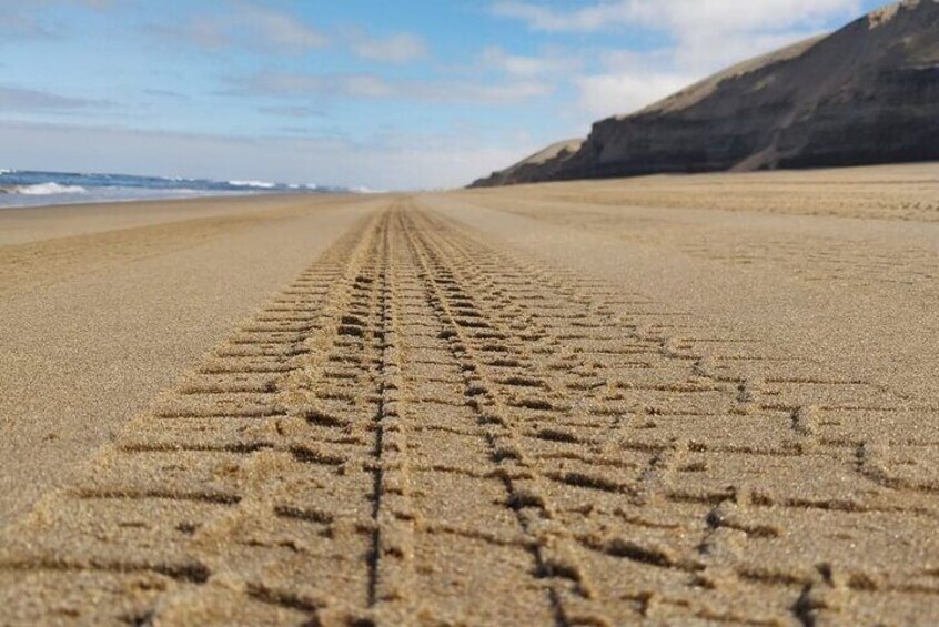 Sandwich Harbour 4x4 guided tours.Join us for an awe inspiring adventure.