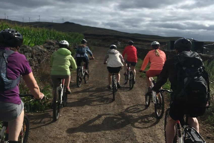 Patchwork Bike Ride