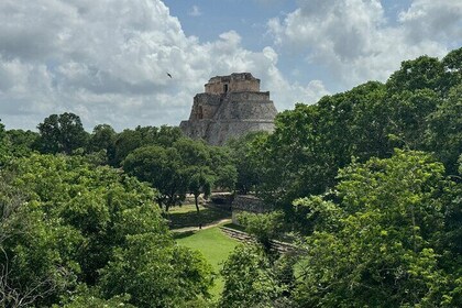 Pearls of Yucatan