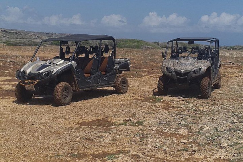 ATV and Buggy Private Tour in West Side Curacao