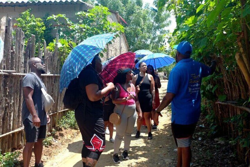 Freedom Tour of Palenque