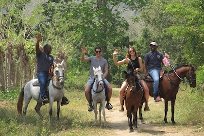 Eco-Tour on Horseback