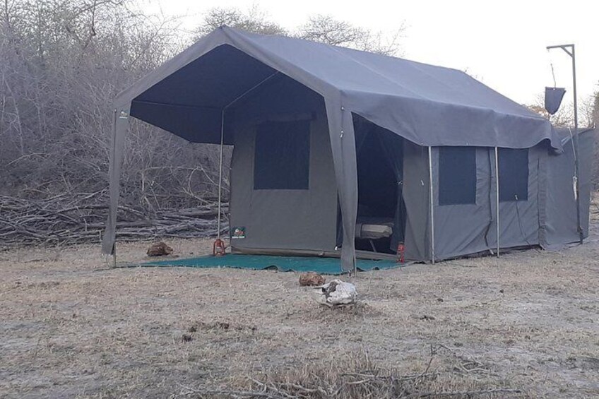 comfort camping safaris at affordable prices