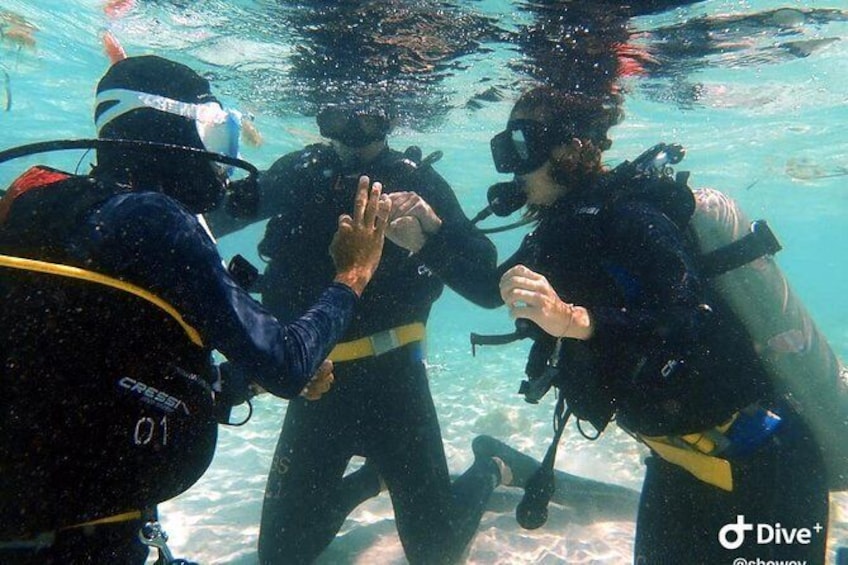 Show item 1 of 9. TRY SCUBA (non diver)
