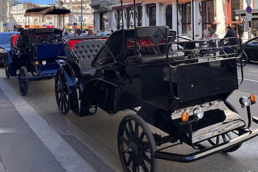 Vienna: 60 min. Royal E-Carriage Sightseeing Tour with Drinks