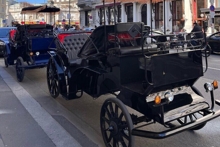 Vienna: 60 min. Royal E-Carriage Sightseeing Tour with Drinks