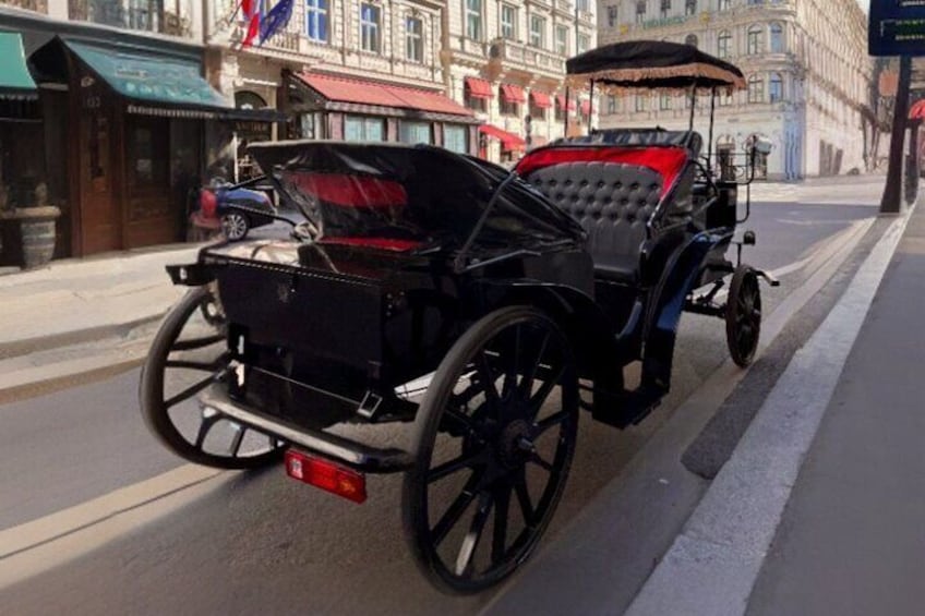 Vienna: 60 min. Royal E-Carriage Sightseeing Tour with Drinks