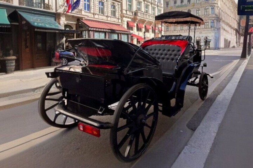 Vienna: 60 min. Royal E-Carriage Sightseeing Tour with Drinks