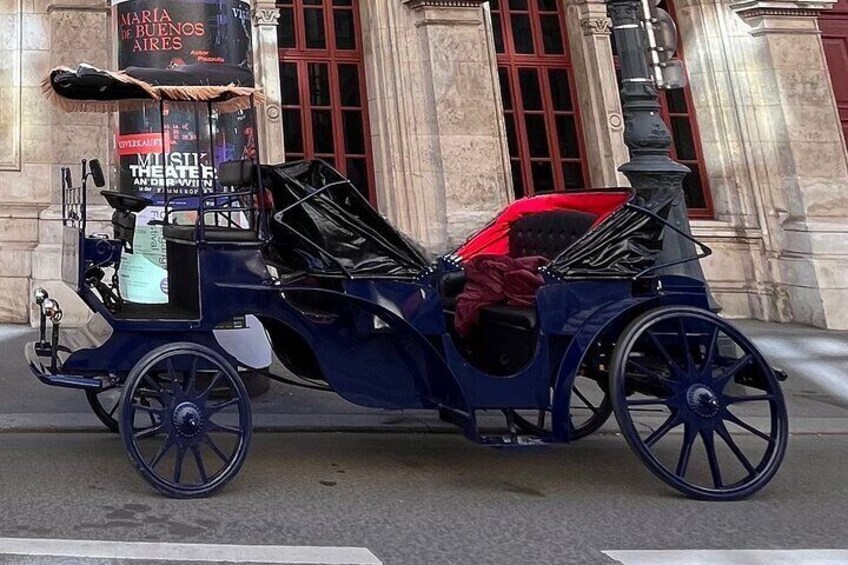 Vienna: 60 min. Royal E-Carriage Sightseeing Tour with Drinks