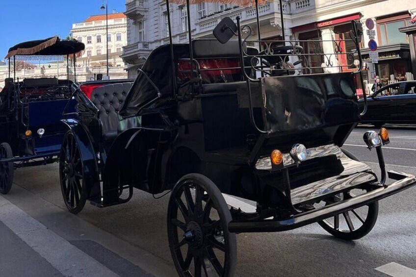 Vienna: 60 min. Royal E-Carriage Sightseeing Tour with Drinks