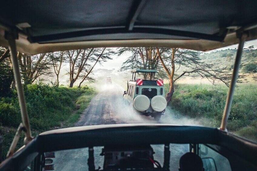 Ngorongoro Crater