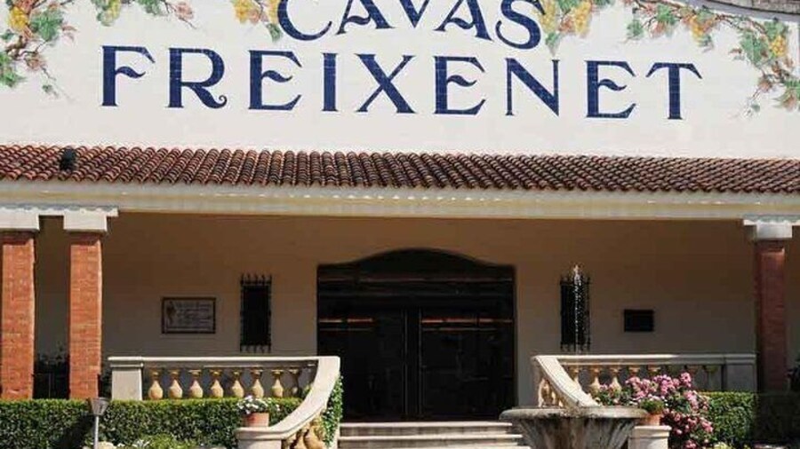 Private Tour of the Wine and Cheese route from Mexico City