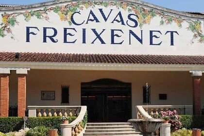 Wine and Cheese Route: Artisan Flavors at Freixenet and Bocanegra