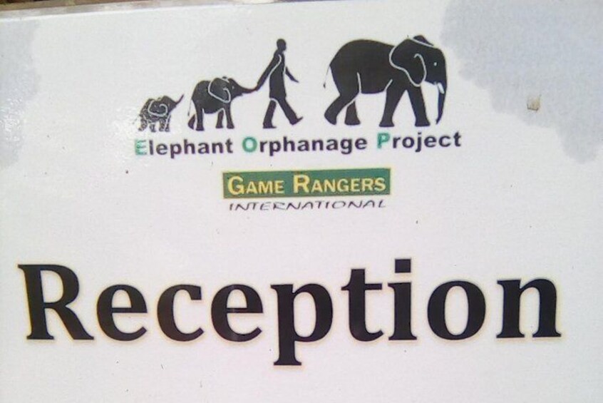Visit the Elephant Orphanage Project