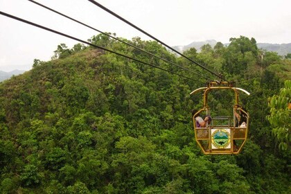 Danao Bohol Adventure Tour (Sea of Clouds, The Plunge and Sagbayan Peak)