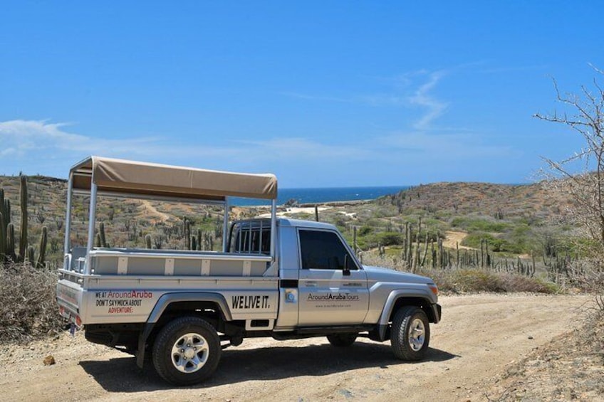 Aruba Outback Safari Tours