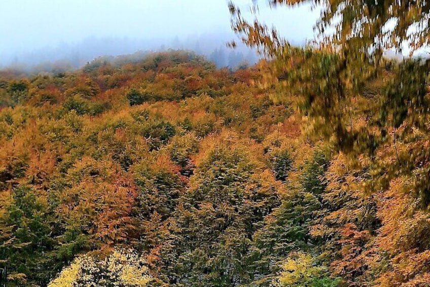 Belogradchik Rocks, Fortress & Venetsa cave- UNESCO