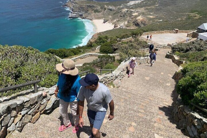 Seal Island Private tour with Penguins, Cape Point & Table Mountain.