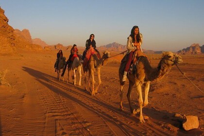 Petra, Wadi Rum, Dead Sea 4 Days 3 nights