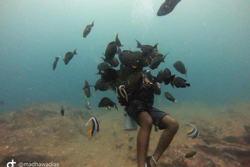 Scuba Diving at Unawatuna